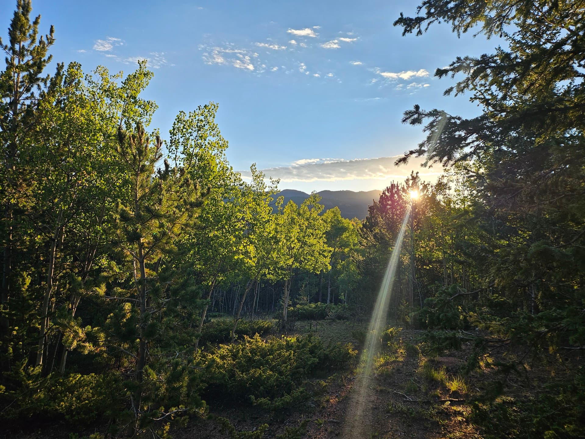 RV Master Plan Reports