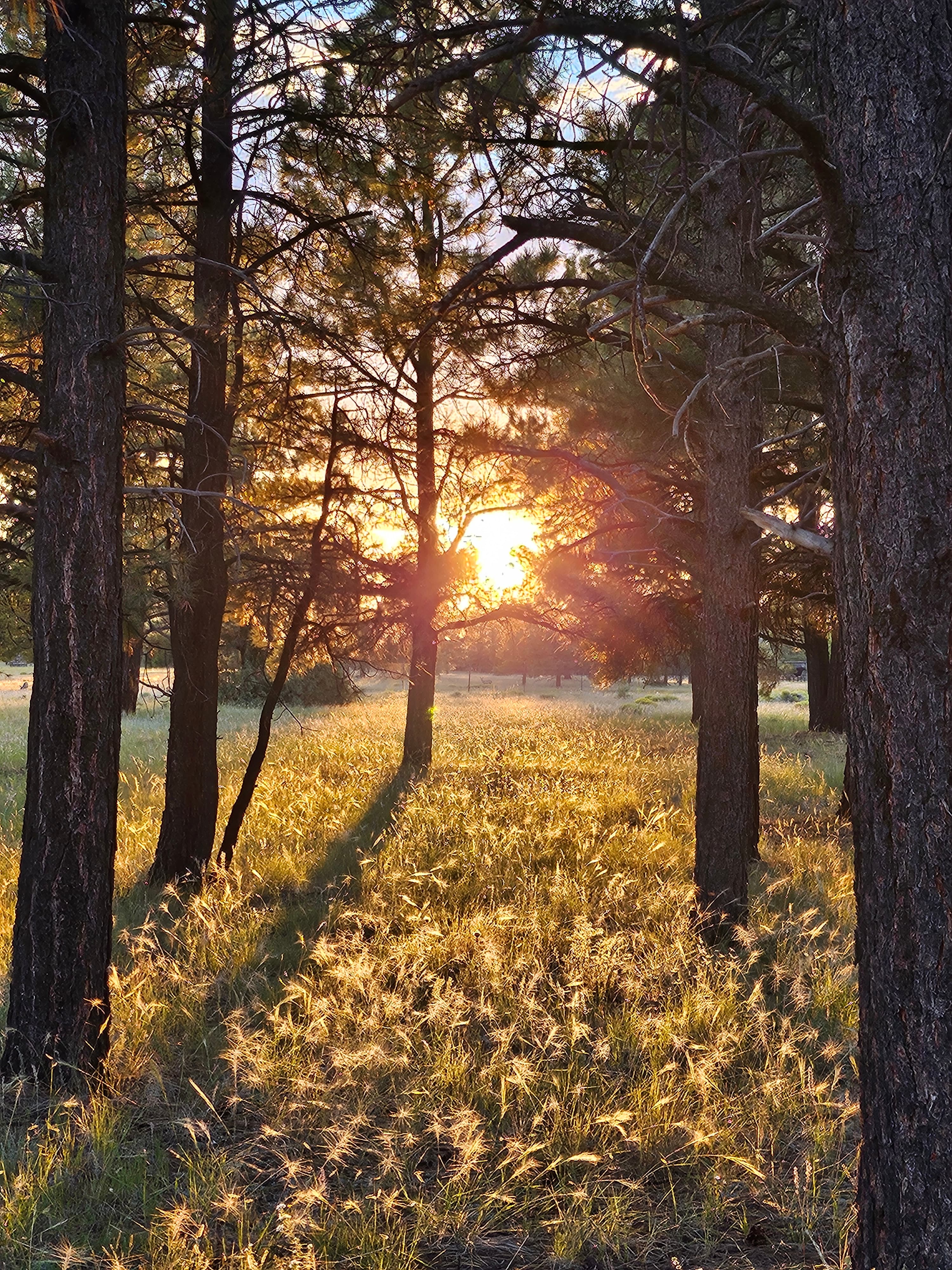 RV at sunset